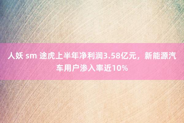 人妖 sm 途虎上半年净利润3.58亿元，新能源汽车用户渗入率近10%