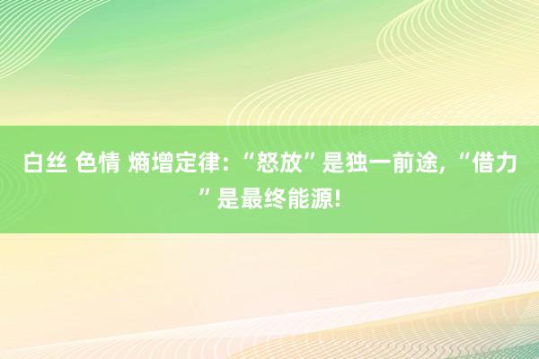 白丝 色情 熵增定律: “怒放”是独一前途, “借力”是最终能源!