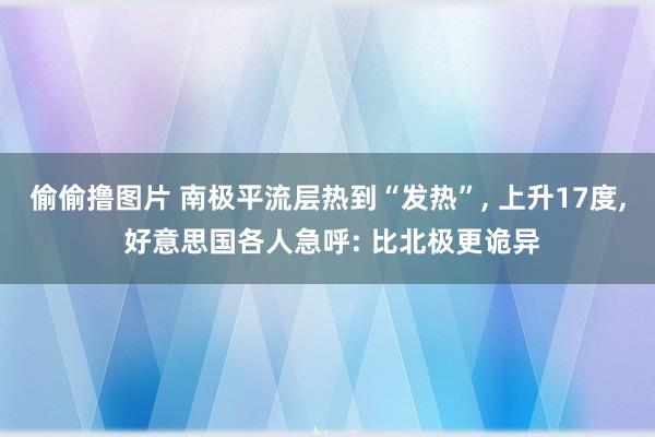 偷偷撸图片 南极平流层热到“发热”, 上升17度, 好意思国各人急呼: 比北极更诡异