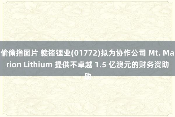 偷偷撸图片 赣锋锂业(01772)拟为协作公司 Mt. Marion Lithium 提供不卓越 1.5 亿澳元的财务资助