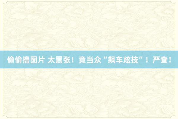 偷偷撸图片 太嚣张！竟当众“飙车炫技”！严查！