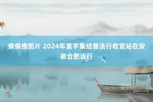 偷偷撸图片 2024年寰宇集结普法行收官站在安徽合肥运行