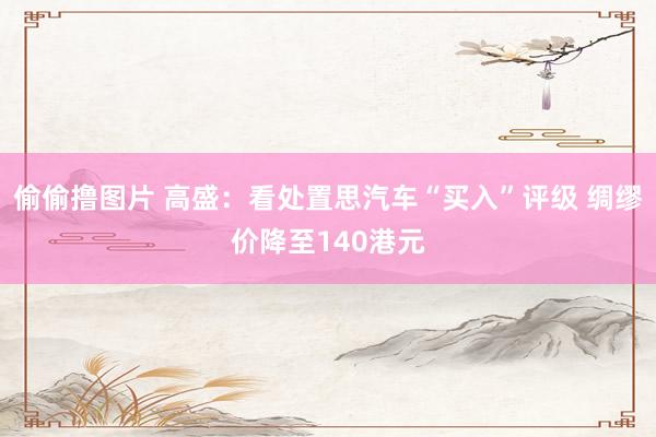 偷偷撸图片 高盛：看处置思汽车“买入”评级 绸缪价降至140港元