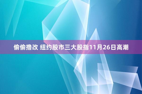 偷偷撸改 纽约股市三大股指11月26日高潮
