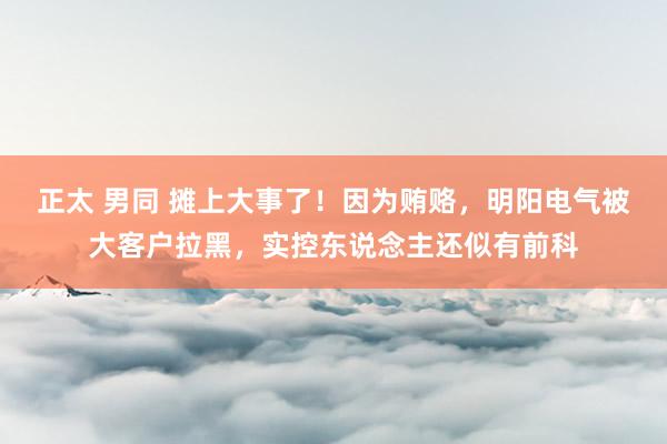正太 男同 摊上大事了！因为贿赂，明阳电气被大客户拉黑，实控东说念主还似有前科