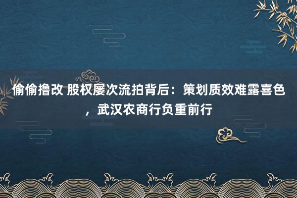 偷偷撸改 股权屡次流拍背后：策划质效难露喜色，武汉农商行负重前行