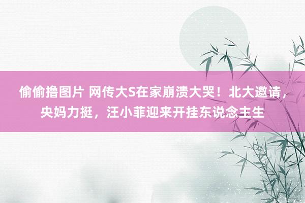 偷偷撸图片 网传大S在家崩溃大哭！北大邀请，央妈力挺，汪小菲迎来开挂东说念主生