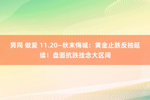 男同 做爱 11.20—秋末悔城：黄金止跌反抽延续！盘面抗跌挂念大区间