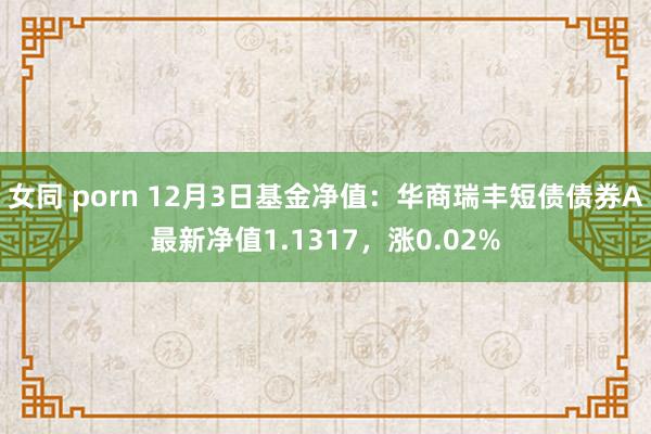 女同 porn 12月3日基金净值：华商瑞丰短债债券A最新净值1.1317，涨0.02%