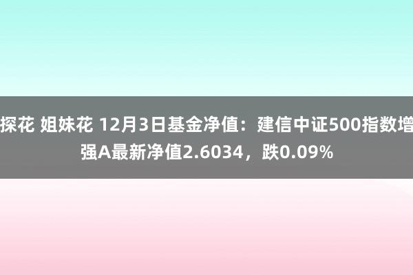 探花 姐妹花 12月3日基金净值：建信中证500指数增强A最新净值2.6034，跌0.09%