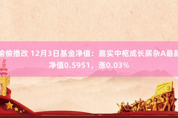 偷偷撸改 12月3日基金净值：嘉实中枢成长羼杂A最新净值0.5951，涨0.03%