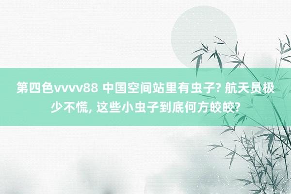第四色vvvv88 中国空间站里有虫子? 航天员极少不慌, 这些小虫子到底何方皎皎?
