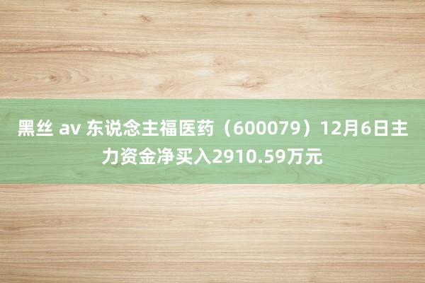 黑丝 av 东说念主福医药（600079）12月6日主力资金净买入2910.59万元