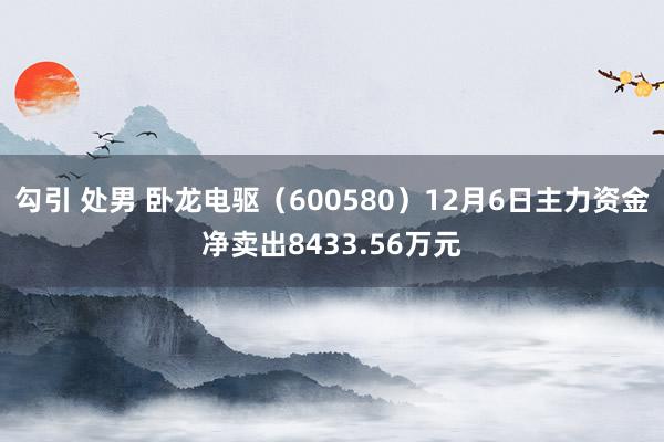 勾引 处男 卧龙电驱（600580）12月6日主力资金净卖出8433.56万元