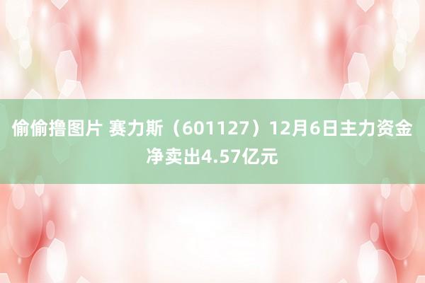 偷偷撸图片 赛力斯（601127）12月6日主力资金净卖出4.57亿元