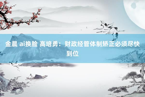 金晨 ai换脸 高培勇：财政经管体制矫正必须尽快到位