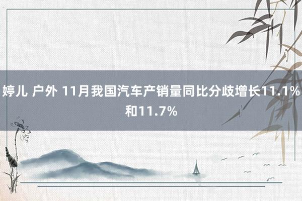 婷儿 户外 11月我国汽车产销量同比分歧增长11.1%和11.7%