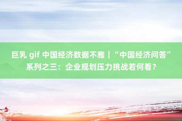 巨乳 gif 中国经济数据不雅｜“中国经济问答”系列之三：企业规划压力挑战若何看？