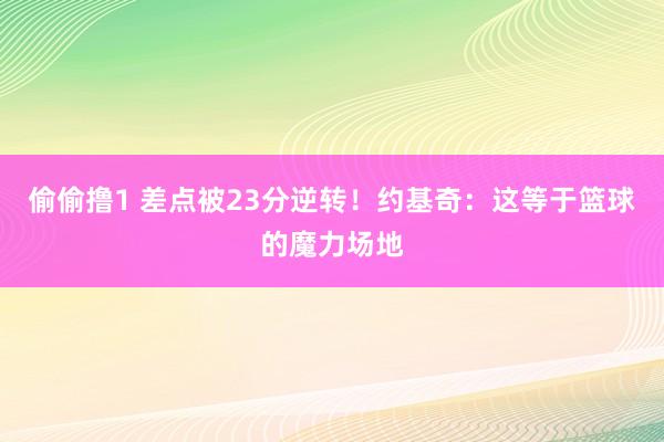 偷偷撸1 差点被23分逆转！约基奇：这等于篮球的魔力场地