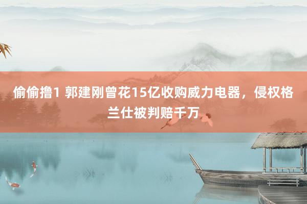 偷偷撸1 郭建刚曾花15亿收购威力电器，侵权格兰仕被判赔千万