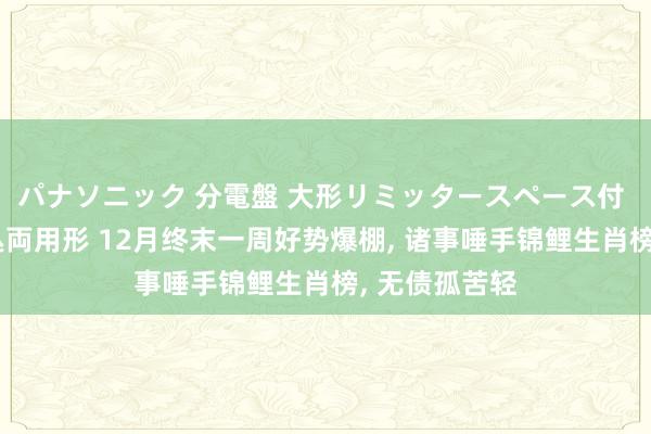 パナソニック 分電盤 大形リミッタースペース付 露出・半埋込両用形 12月终末一周好势爆棚, 诸事唾手锦鲤生肖榜, 无债孤苦轻