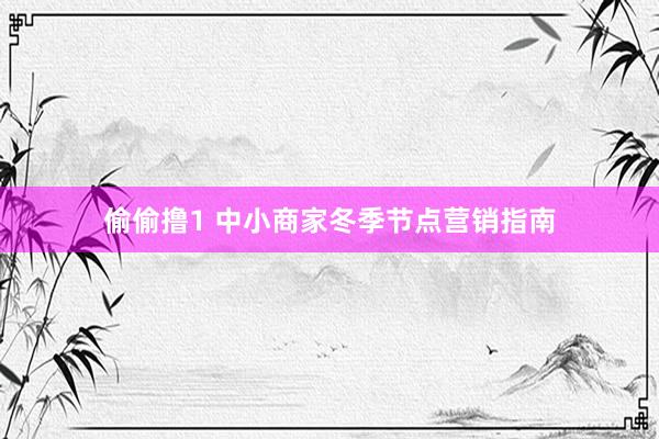 偷偷撸1 中小商家冬季节点营销指南
