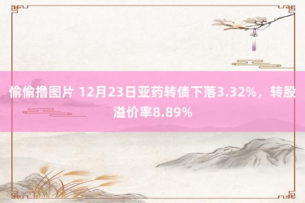 偷偷撸图片 12月23日亚药转债下落3.32%，转股溢价率8.89%