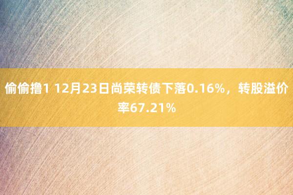 偷偷撸1 12月23日尚荣转债下落0.16%，转股溢价率67.21%