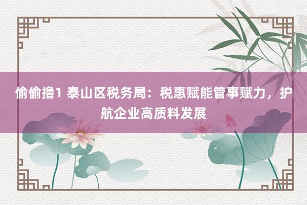 偷偷撸1 泰山区税务局：税惠赋能管事赋力，护航企业高质料发展