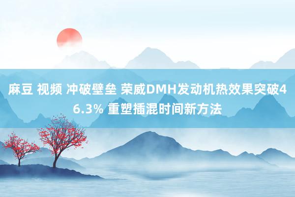麻豆 视频 冲破壁垒 荣威DMH发动机热效果突破46.3% 重塑插混时间新方法