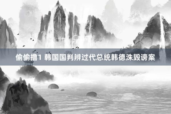 偷偷撸1 韩国国判辨过代总统韩德洙毁谤案