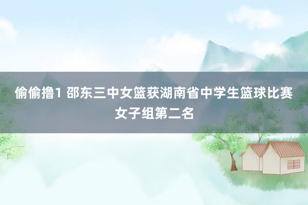 偷偷撸1 邵东三中女篮获湖南省中学生篮球比赛女子组第二名
