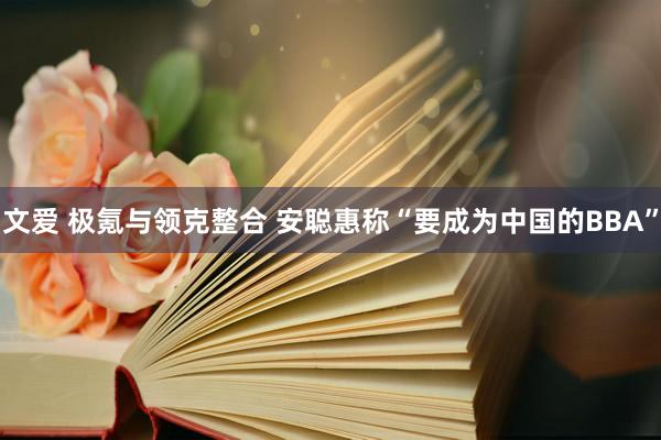 文爱 极氪与领克整合 安聪惠称“要成为中国的BBA”
