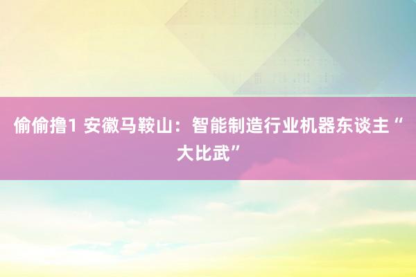 偷偷撸1 安徽马鞍山：智能制造行业机器东谈主“大比武”