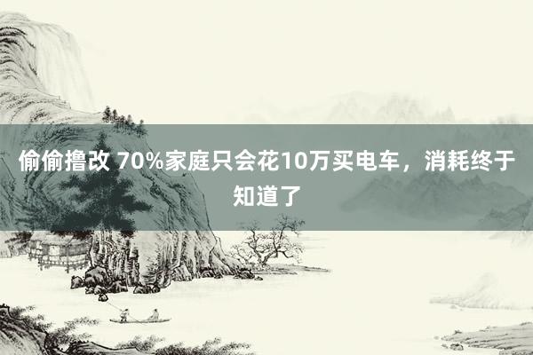 偷偷撸改 70%家庭只会花10万买电车，消耗终于知道了