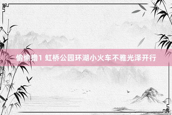 偷偷撸1 虹桥公园环湖小火车不雅光泽开行