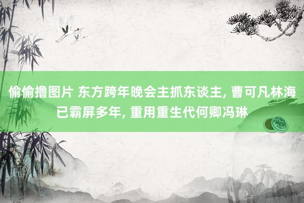 偷偷撸图片 东方跨年晚会主抓东谈主, 曹可凡林海已霸屏多年, 重用重生代何卿冯琳