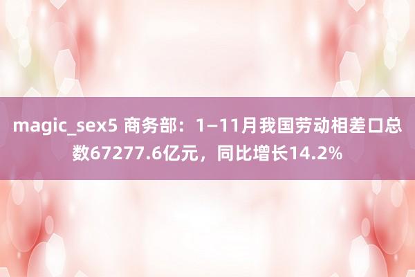 magic_sex5 商务部：1—11月我国劳动相差口总数67277.6亿元，同比增长14.2%