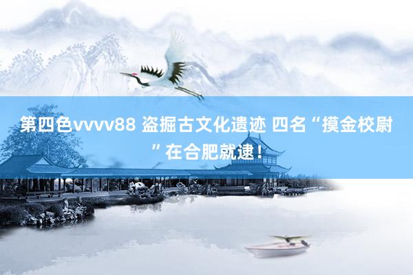 第四色vvvv88 盗掘古文化遗迹 四名“摸金校尉”在合肥就逮！