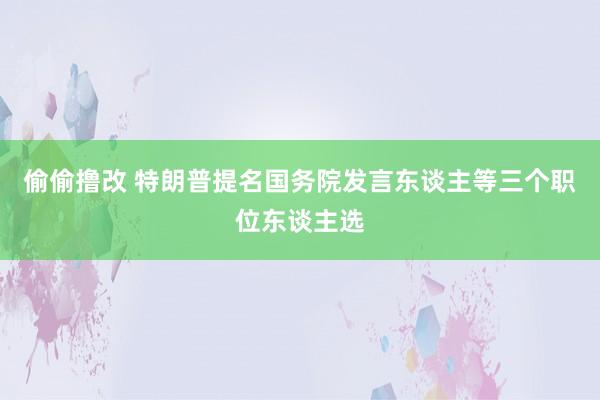 偷偷撸改 特朗普提名国务院发言东谈主等三个职位东谈主选