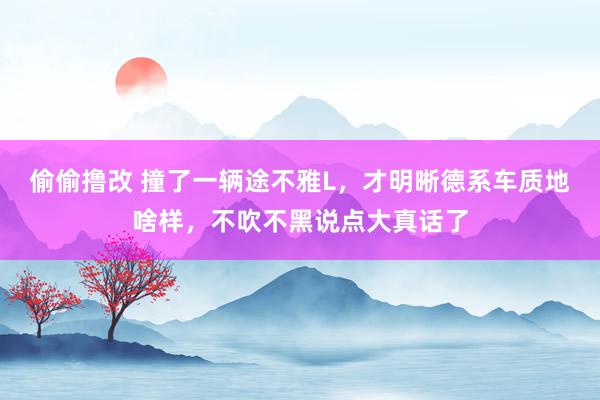 偷偷撸改 撞了一辆途不雅L，才明晰德系车质地啥样，不吹不黑说点大真话了