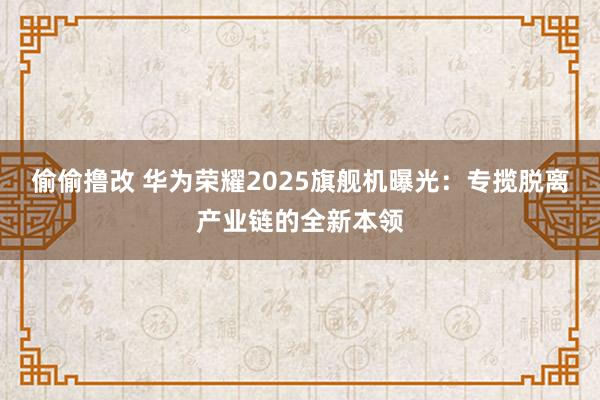 偷偷撸改 华为荣耀2025旗舰机曝光：专揽脱离产业链的全新本领