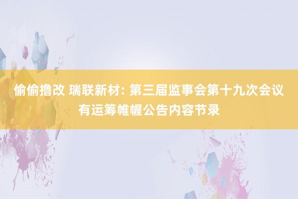偷偷撸改 瑞联新材: 第三届监事会第十九次会议有运筹帷幄公告内容节录