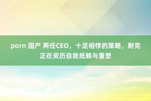 porn 国产 两任CEO，十足相悖的策略，耐克正在资历自我抵赖与重塑