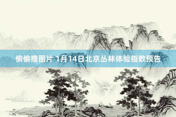 偷偷撸图片 1月14日北京丛林体验指数预告
