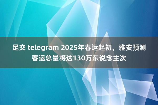 足交 telegram 2025年春运起初，雅安预测客运总量将达130万东说念主次