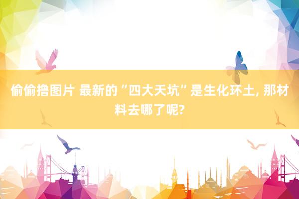偷偷撸图片 最新的“四大天坑”是生化环土, 那材料去哪了呢?