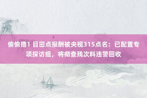 偷偷撸1 目田点报酬被央视315点名：已配置专项探访组，将彻查残次料违警回收