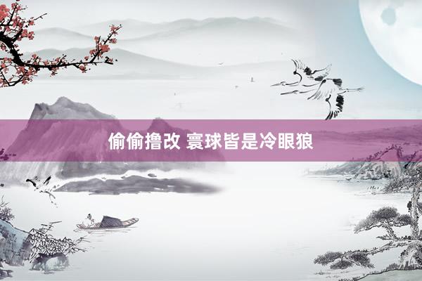 偷偷撸改 寰球皆是冷眼狼