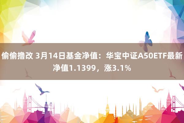 偷偷撸改 3月14日基金净值：华宝中证A50ETF最新净值1.1399，涨3.1%
